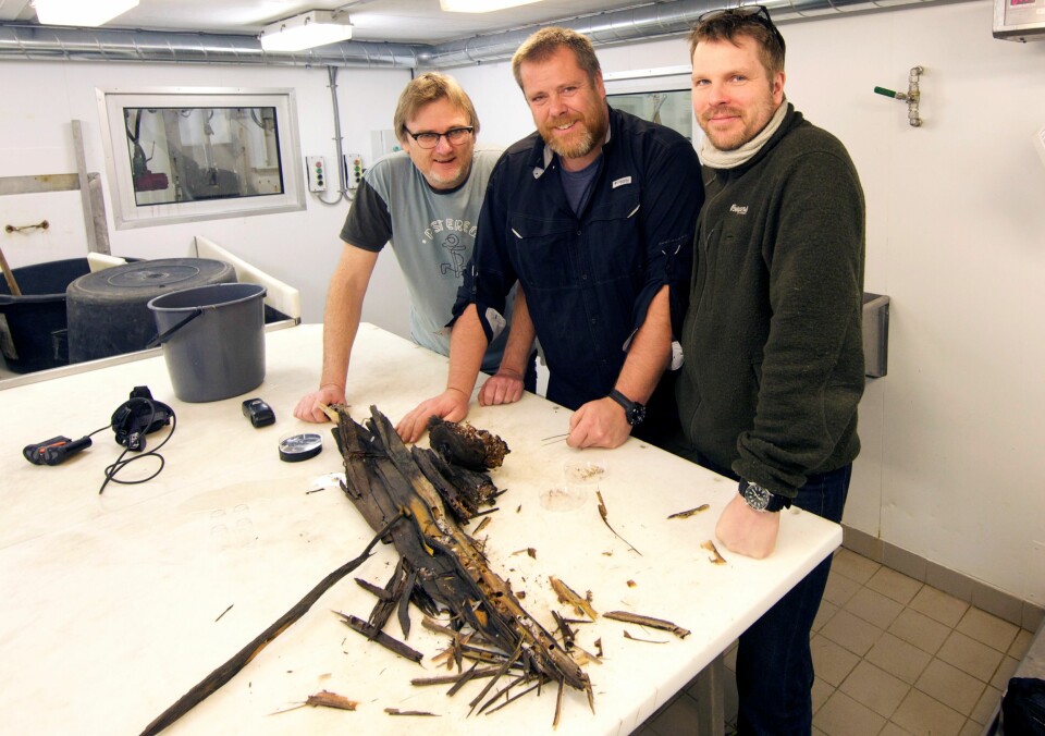 Geir Johnsen (til venstre), Jørgen Berge og Øyvind Ødegård undersøker trestokken om bord på forskningsskipet «Helmer Hanssen». (Foto: UiT)