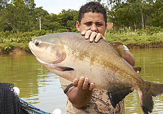 Fish farming in the Amazon