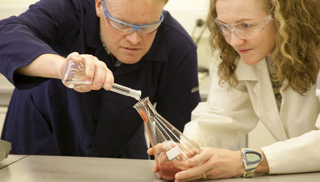 Research scientists Tommy Mokkelbost and Fride Vullum-Bruer in the laboratory with powder-based materials that will be ingredients in rechargeable batteries. (Photo: SINTEF / Gry Karin Stimo) Research scientists Tommy Mokkelbost and Fride Vullum-Bruer in the laboratory with powder-based materials that will be ingredients in rechargeable batteries. (Photo: SINTEF / Gry Karin Stimo)