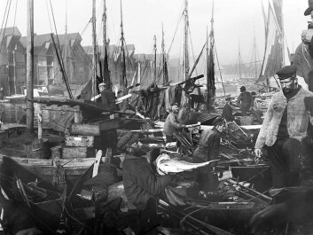 A typical scene from the fish market in Bergen sometime between 1880–1900. (Photo: University of Bergen Library) A typical scene from the fish market in Bergen sometime between 1880–1900. (Photo: University of Bergen Library)