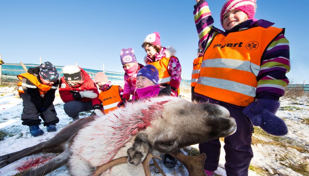 Mia Kristensen Bellika vet svaret og ivrer etter å få si at reinen som ligger foran henne, er en hannrein. Fra venstre Isak Benjamin Gundersen, fagarbeider Isabell Moland, Helene Kristensen, Solveig Larsen Strand, Amalie Larsen Strand, Synnøve Olsen og Mia Kristensen Bellika. (Foto: Stig Brøndbo) Mia Kristensen Bellika vet svaret og ivrer etter å få si at reinen som ligger foran henne, er en hannrein. Fra venstre Isak Benjamin Gundersen, fagarbeider Isabell Moland, Helene Kristensen, Solveig Larsen Strand, Amalie Larsen Strand, Synnøve Olsen og Mia Kristensen Bellika. (Foto: Stig Brøndbo)