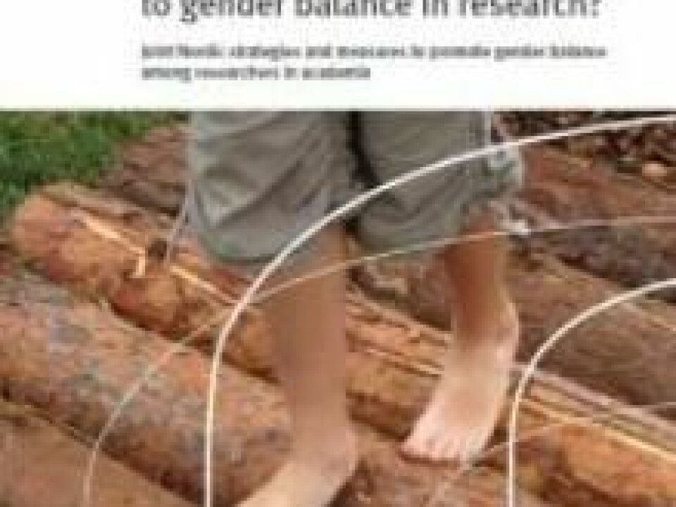 The report 'The Nordic region - a step closer to gender balance in research?