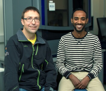 Professor Igor Babiak og postdoktor Teshome Bizuayehu. (Foto: Svein-Arnt Eriksen, Nord universitet) Professor Igor Babiak og postdoktor Teshome Bizuayehu. (Foto: Svein-Arnt Eriksen, Nord universitet)