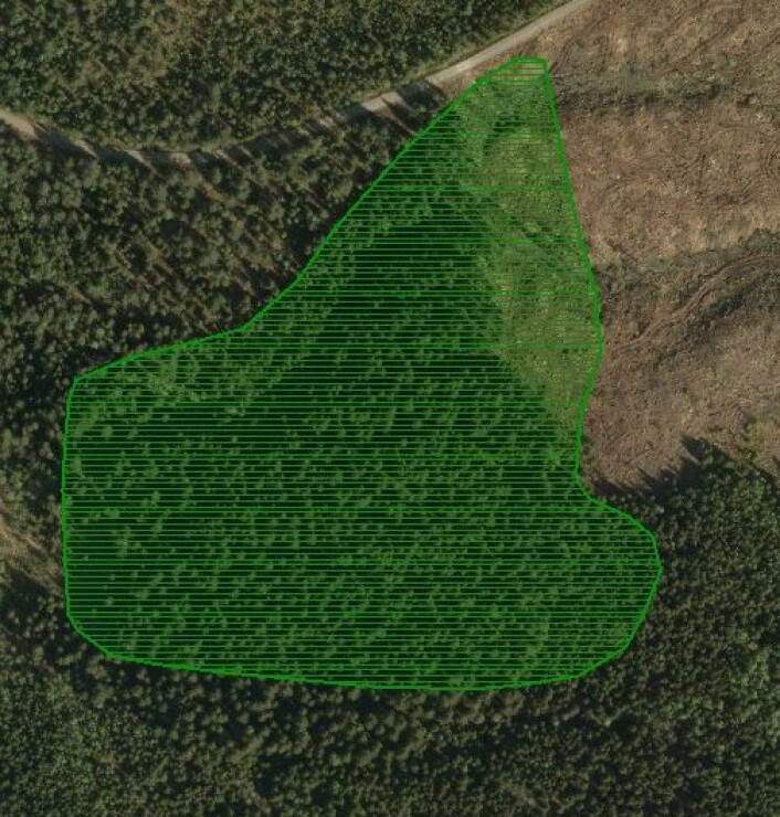 Eksempel på dårlig kartleggingskalitet; flybildet avslører at deler av området med granskog ikke har skog i det hele tatt. (Foto: Kilde: Naturbase) Eksempel på dårlig kartleggingskalitet; flybildet avslører at deler av området med granskog ikke har skog i det hele tatt. (Foto: Kilde: Naturbase)