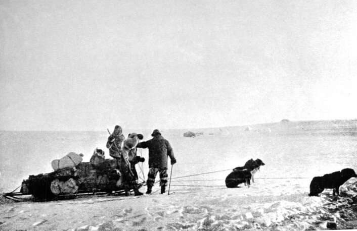 Sammen med sine fire ledsagere Olav Bjaaland, Helmer Hansen, Sverre Hassel og Oscar Wisting når Roald Amundsen (39) som førstemann på Sydpolen - foran engelskmannen Robert Scott og hans ekspedisjon. (Foto: NTB scanpix) Sammen med sine fire ledsagere Olav Bjaaland, Helmer Hansen, Sverre Hassel og Oscar Wisting når Roald Amundsen (39) som førstemann på Sydpolen - foran engelskmannen Robert Scott og hans ekspedisjon. (Foto: NTB scanpix)