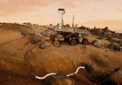 Snake robot on Mars?