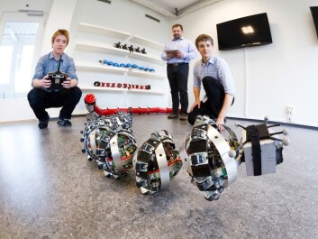 SINTEF researchers Pål Liljebäck and Aksel Transeth, and Knut Robert Fossum of NTNU's CIRiS, which is a partner in the project, playing with Wheeko the snake robot. (Photo. SINTEF/Thor Nielsen) SINTEF researchers Pål Liljebäck and Aksel Transeth, and Knut Robert Fossum of NTNU's CIRiS, which is a partner in the project, playing with Wheeko the snake robot. (Photo. SINTEF/Thor Nielsen)