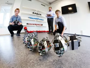 SINTEF researchers Pål Liljebäck and Aksel Transeth, and Knut Robert Fossum of NTNU's CIRiS, which is a partner in the project, playing with Wheeko the snake robot. (Photo. SINTEF/Thor Nielsen)