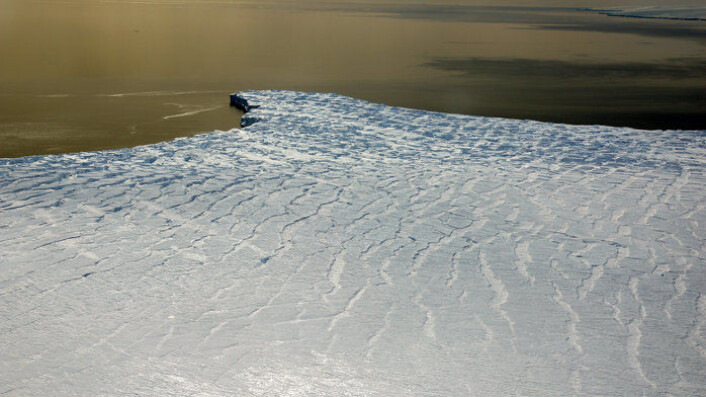 Isbremmen Ferrigno Ice Stream i Bellingshausenhavet i Vest-Antarktis sett i november 2011. Isbremmene holder tilbake isbreene inne på land. (Foto: Universitetet i Erlangen-Nürnberg/M. Braun) Isbremmen Ferrigno Ice Stream i Bellingshausenhavet i Vest-Antarktis sett i november 2011. Isbremmene holder tilbake isbreene inne på land. (Foto: Universitetet i Erlangen-Nürnberg/M. Braun)