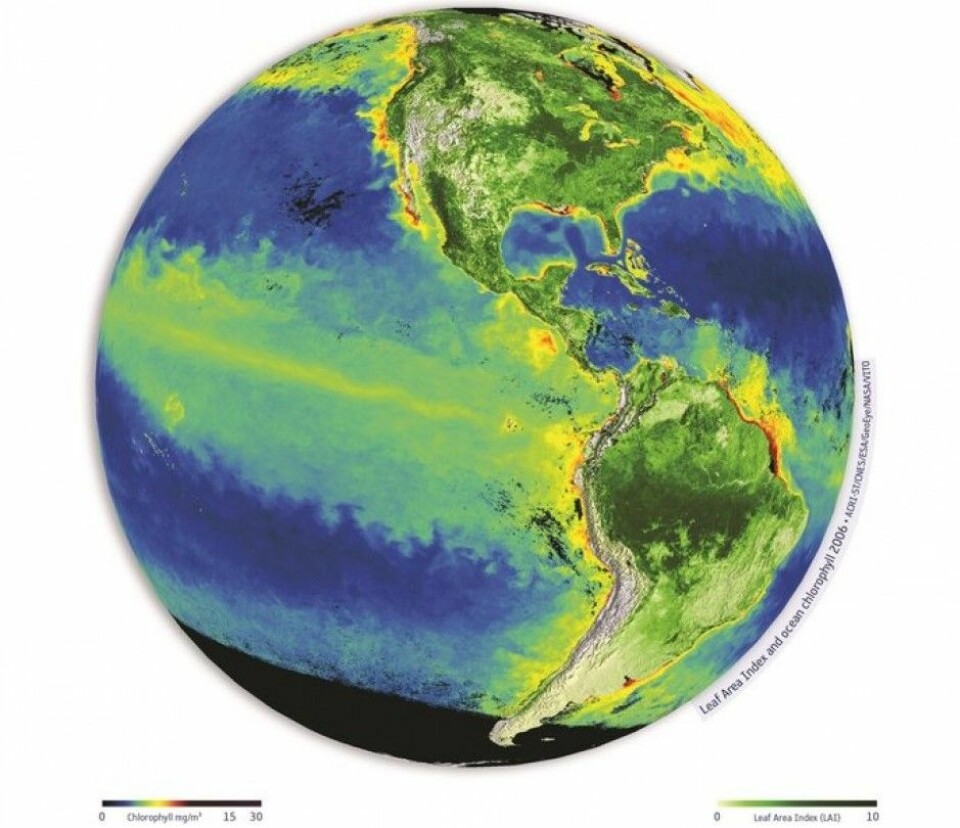Løvmengde i vegetasjon på land og klorofyll i overflaten til havs, sett av satellitter. (Foto: (Grafikk: ACRI-ST/CNES/ESA/GeoEye/NASA/VITO))