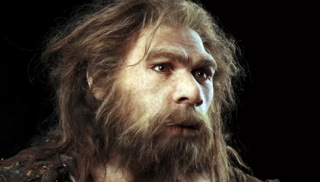 Rekonstruksjon av en neandertalsk mann som skal ha levd i Frankrike. Neandertalerne skal ha kommet til Europa for mer enn 200 000 år siden, og det er kanskje ikke mer enn 30 000-40 000 år siden de døde ut. (Foto: Science Photo Library/NTB Scanpix)