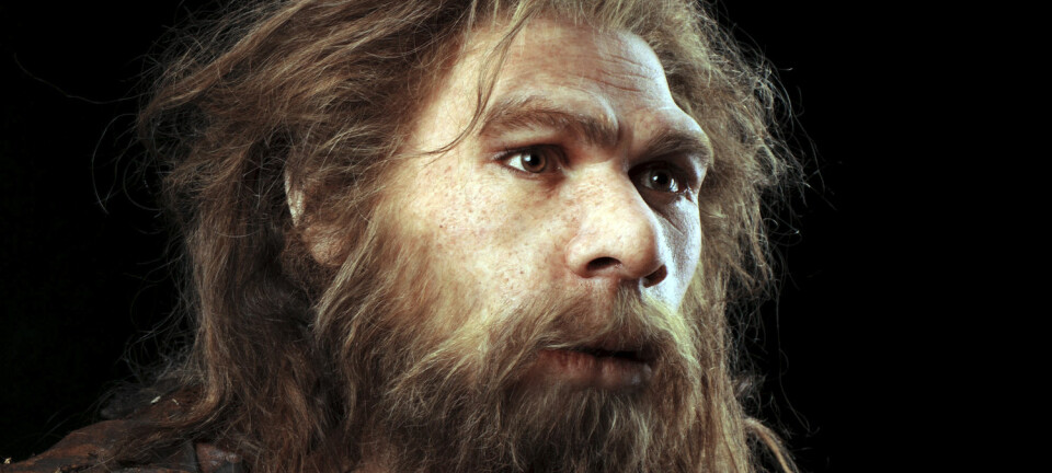 Rekonstruksjon av en neandertalsk mann som skal ha levd i Frankrike. Neandertalerne skal ha kommet til Europa for mer enn 200 000 år siden, og det er kanskje ikke mer enn 30 000-40 000 år siden de døde ut. (Foto: Science Photo Library/NTB Scanpix)