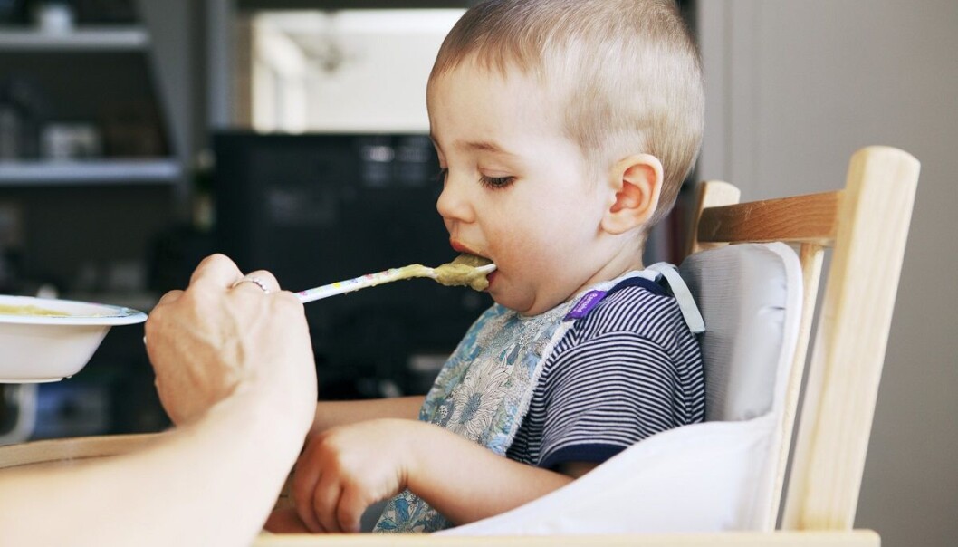 I perioden da barnet blir ammet eller får morsmelkerstatning og samtidig får supplerende kost er det viktig hva det får å spise. En ny studie tyder på at særlig fiber og protein gir barnet en god tarmflora, mens fett har den motsatte virkningen. (Foto: Shutterstock /NTB Scanpix) I perioden da barnet blir ammet eller får morsmelkerstatning og samtidig får supplerende kost er det viktig hva det får å spise. En ny studie tyder på at særlig fiber og protein gir barnet en god tarmflora, mens fett har den motsatte virkningen. (Foto: Shutterstock /NTB Scanpix)