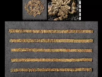 Much of the silk found in the Oseberg ship has patterns from the Persian Empire. Left: Thin strips of hammered gold wrapped around a highly exclusive silk thread. This silk may have come from even further east than Persia. Middle: This silk piece with a cross was possibly sewn locally or purloined from an Irish church. Right: Silk threads sewn into wool. May have been sewn locally. (Photo: KHM- UiO)