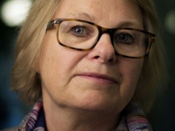 Bente Abrahamsen, Senior Researcher at the Centre for the Study of Professions, HiOA. (Photo: Benjamin A. Ward) Bente Abrahamsen, Senior Researcher at the Centre for the Study of Professions, HiOA. (Photo: Benjamin A. Ward)