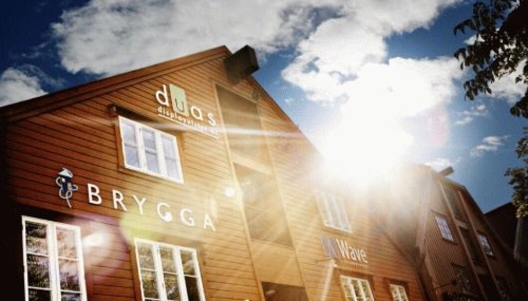 BRYGGA. (Photo: BRYGGA) BRYGGA. (Photo: BRYGGA)