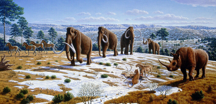 Pleistocen i Spania for over 10 000 år siden: Det er verken mulig eller ønskelig å gjeninnføre elefanter og løver til Europa, slik <i>pleistocene rewilding</i> i ytterste konsekvens ville innebære. (Foto: (Illustrasjon: Mauricio Antón, PLoS Biology, DOI:10.1371, Creative Commons Attribution 2.5 Generic Licence)) Pleistocen i Spania for over 10 000 år siden: Det er verken mulig eller ønskelig å gjeninnføre elefanter og løver til Europa, slik <i>pleistocene rewilding</i> i ytterste konsekvens ville innebære. (Foto: (Illustrasjon: Mauricio Antón, PLoS Biology, DOI:10.1371, Creative Commons Attribution 2.5 Generic Licence))