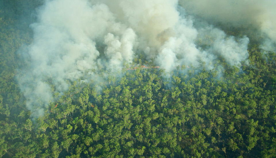 En skogbrann i Kakadu-nasjonalparken i Australia. Mange mener det vil bli flere og flere skogbranner i Australia etterhvert som klimaendringene blir større. (Foto: Shutterstock/NTB Scanpix)