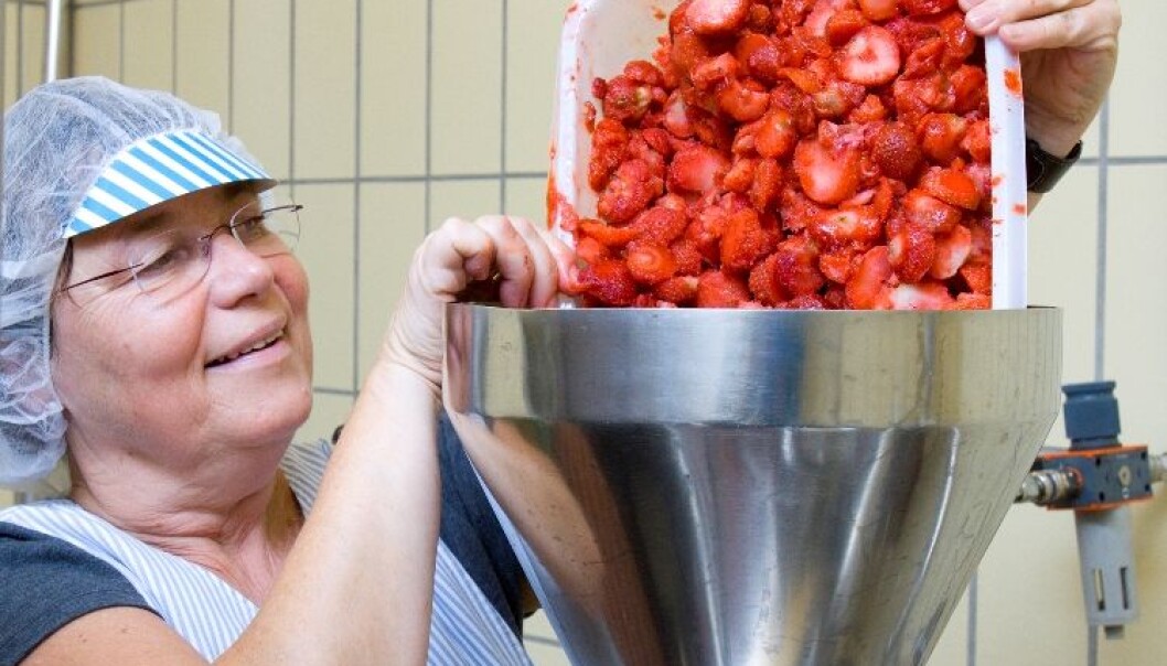 Berit Karoline Martinsen has produced jam from many different varieties of strawberry and raspberry. (Photo: Kjell Merok/Nofima) Berit Karoline Martinsen has produced jam from many different varieties of strawberry and raspberry. (Photo: Kjell Merok/Nofima)