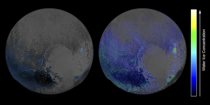 NASA offentliggjorde dette kartet over forekomster av vannis på Pluto den 28. januar 2016. Bildet bygger på infrarøde spektralanalyser gjort med instrumentet Linear Etalon Imaging Spectral Array (LEISA) på romsonden New Horizons i juli 2015. Selv om observasjonene forstyrres av metanforekomster, viser de at vann er mer utbredt på Pluto enn antatt tidligere. (Foto: (Figur: NASA/JHUIAPL/SwRI)) NASA offentliggjorde dette kartet over forekomster av vannis på Pluto den 28. januar 2016. Bildet bygger på infrarøde spektralanalyser gjort med instrumentet Linear Etalon Imaging Spectral Array (LEISA) på romsonden New Horizons i juli 2015. Selv om observasjonene forstyrres av metanforekomster, viser de at vann er mer utbredt på Pluto enn antatt tidligere. (Foto: (Figur: NASA/JHUIAPL/SwRI))