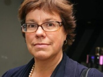 Liesbet van Zoonen. (Photo: Ida Irene Bergstrøm) Liesbet van Zoonen. (Photo: Ida Irene Bergstrøm)