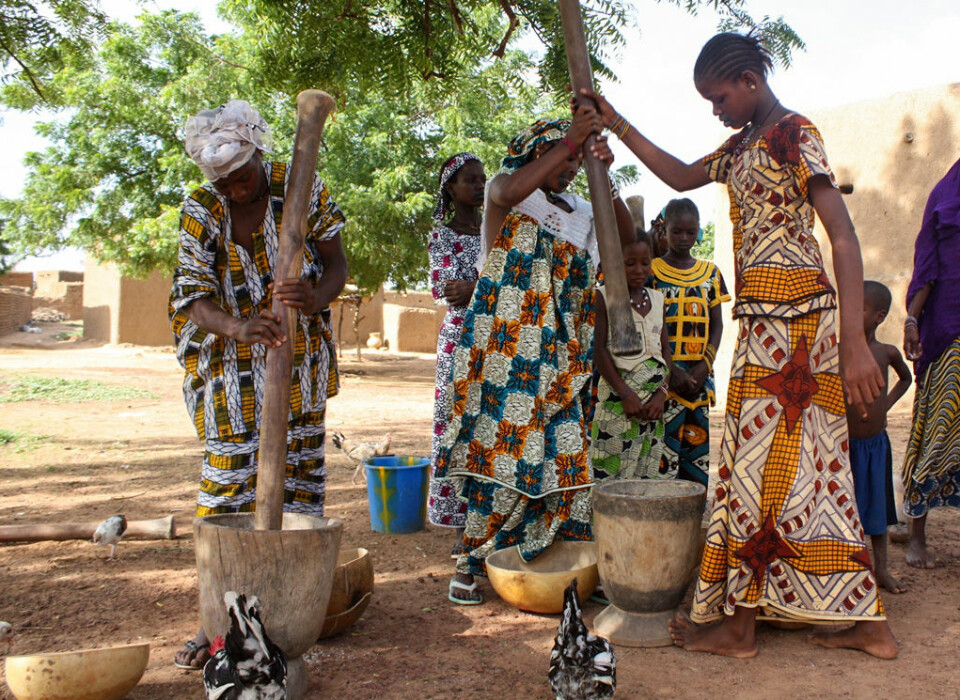 Kvinner fra Vest-Afrika med kjoler av voksbatikk. (Foto: Alexander Parlay, Creative Commons Attribution-Share Alike 3.0 Unported license)