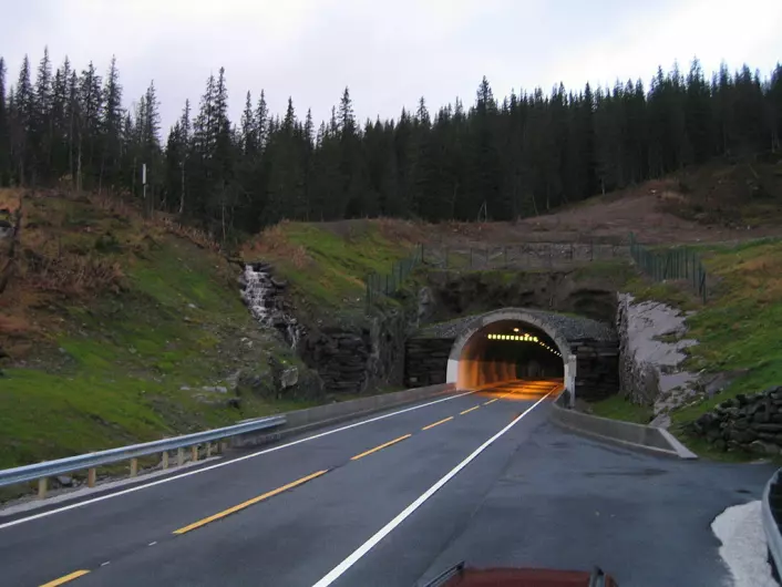 Korgfjelltunellen i Nordland. Denne tunellen erstattet en fjellovergang som ofte var stengt. Tunellen ble åpnet i 2005. (Foto: Zorrolll/CC BY-SA 3.0)
