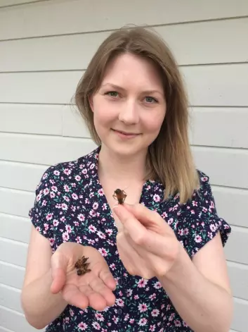 Student Victoria Stokke ved NTNU ønsker at insekter blir en vanlig del av norsk kosthold. Her med et par gresshopper i hånda. (Foto: Myldregard)