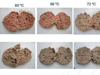 When meat has been packed in an oxygen-rich atmosphere, it becomes brownish grey and looks cooked through when it reaches 60°C, while meat packed with more traditional gas mixtures or in a vacuum needs temperatures above 71°C to achieve the same colour. (Photo: Nofima) When meat has been packed in an oxygen-rich atmosphere, it becomes brownish grey and looks cooked through when it reaches 60°C, while meat packed with more traditional gas mixtures or in a vacuum needs temperatures above 71°C to achieve the same colour. (Photo: Nofima)