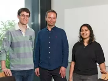 The Norwegian researchers behind the discoveries (from left): Alexander Thrane, Erlend Nagelhus and Vinita Rangroo Thrane at the Institute for Basic Medical Sciences, University of Oslo. (Photo: Gunnar F. Lothe, UiO)
