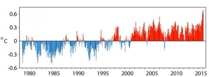 2015 ble det varmeste året hittil, også i følge den meteorologiske reanalysen fra ECMWF. Mørke streker i figuren angir desember måned hvert år. (Bilde: ECMWF/Copernicus Climate Change Service) 2015 ble det varmeste året hittil, også i følge den meteorologiske reanalysen fra ECMWF. Mørke streker i figuren angir desember måned hvert år. (Bilde: ECMWF/Copernicus Climate Change Service)