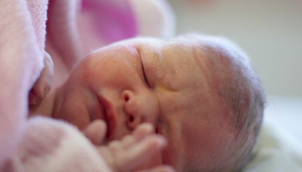 Matallergi kan skyldes hyperaktivt immunforsvar ved fødselen