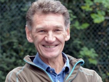 Grete Waitz ran 119-132 kilometres per week during the 1978-79 season. “Given the results she achieved, that’s far fewer kilometres than most people would have imagined,” says professor Leif Inge Tjelta, who has studied her training diaries. (Photo: Asbjørn Jensen, University of Stavanger)
Grete Waitz ran 119-132 kilometres per week during the 1978-79 season. “Given the results she achieved, that’s far fewer kilometres than most people would have imagined,” says professor Leif Inge Tjelta, who has studied her training diaries. (Photo: Asbjørn Jensen, University of Stavanger)