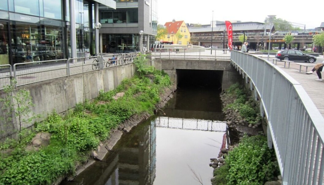 Ved styrtregn blir kapasiteten for dårlig i ledningen, slik at fortynnet avløpsvann havner på feil sted. Da kan turgåere ved Hoffselva (her ved Skøyen i Oslo) enkelte ganger både se og lukte overløpsvannet. (Foto: Jan-Tore Egge, med lisens CC BY-SA 4.0) Ved styrtregn blir kapasiteten for dårlig i ledningen, slik at fortynnet avløpsvann havner på feil sted. Da kan turgåere ved Hoffselva (her ved Skøyen i Oslo) enkelte ganger både se og lukte overløpsvannet. (Foto: Jan-Tore Egge, med lisens CC BY-SA 4.0)