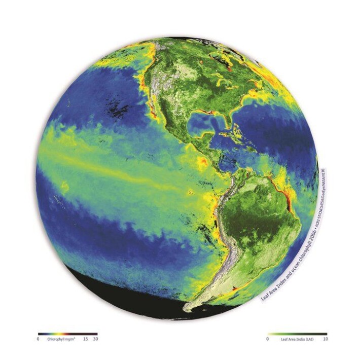 Mengde løv i plantedekket på land og mengde klorofyll i overflaten til havs, sett av satellitter. (Foto: ACRI-ST/CNES/ESA/GeoEye/NASA/VITO) Mengde løv i plantedekket på land og mengde klorofyll i overflaten til havs, sett av satellitter. (Foto: ACRI-ST/CNES/ESA/GeoEye/NASA/VITO)