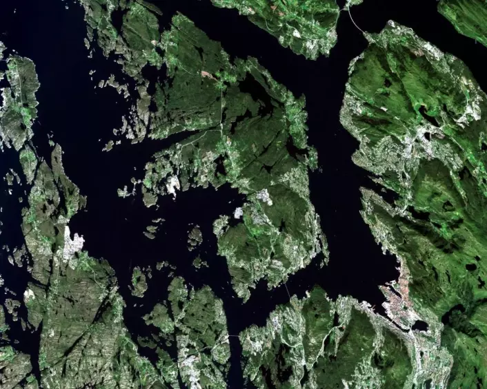 Bergen og omegn sett av skogsatellitten Sentinel-2 i 2015. Sentinel-2 ser blant annet vegetasjonsdekke, avlinger, skog, kystlinjer, innsjøer, elver og is. (Foto: Copernicus Sentinel data 2015. )