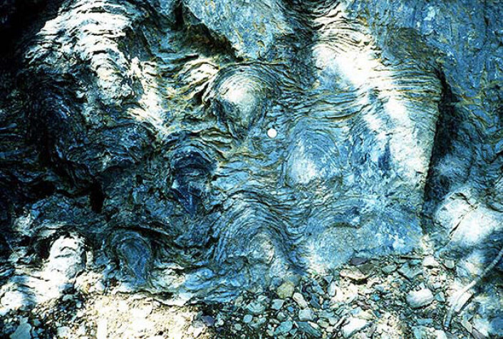 Slik startet det: Cyanobakteriene i urhavet dannet lag på lag av slim, biofilm. Denne ble forsteinet til stromatolitter. Denne stromatolitten er rundt en millard år gammel og er fra Siyeh-formasjonen i Glacier National Park i Montana i USA. (Foto: National Park Service) Slik startet det: Cyanobakteriene i urhavet dannet lag på lag av slim, biofilm. Denne ble forsteinet til stromatolitter. Denne stromatolitten er rundt en millard år gammel og er fra Siyeh-formasjonen i Glacier National Park i Montana i USA. (Foto: National Park Service)
