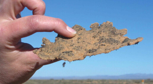 Bakterier lager solfaktor i ørkenen