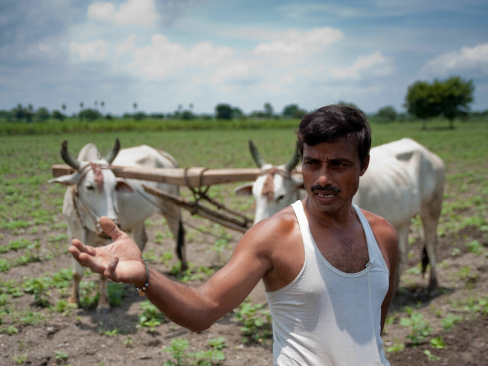 A farmer in Andhra Pradesh waits for the rain. His cotton field is dry due to delayed monsoon. (Photo: Ragnar Våga Pedersen)