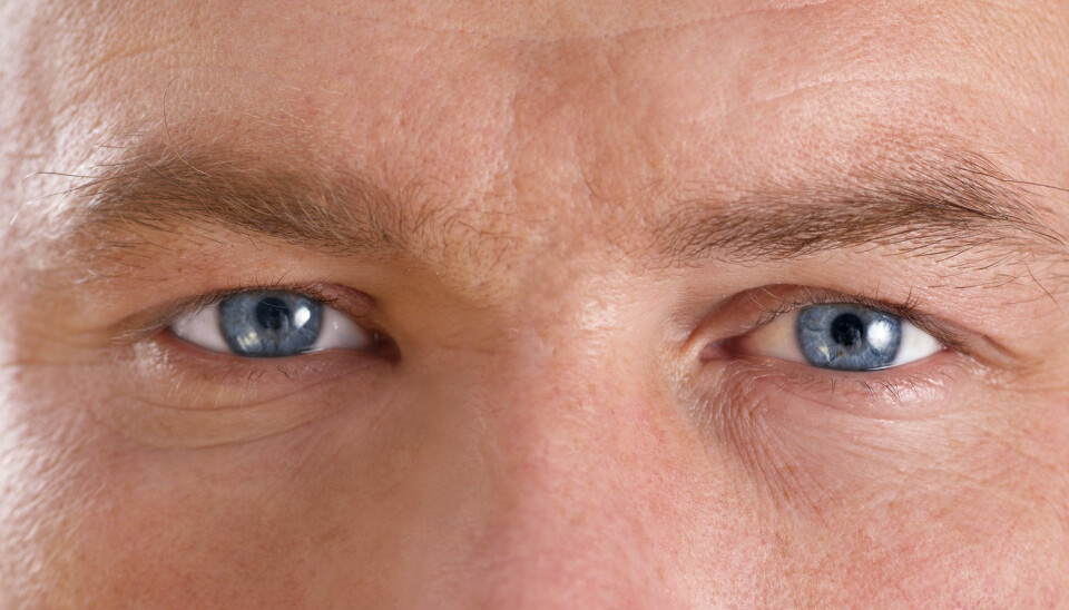 Panteautomater utstyrt med stirrende øyne kan få oss til å handle mindre egoistisk, ifølge en studie av svenske flaskepantere. (Foto: Shutterstock)