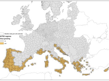 The orange spots on the map illustrate the administrative units in citrus producing countries in the EU. To simulate risk of citrus black spot infection the researchers chose 25 square kilometres of weather data from 1518 places, based on these administrative units. (Illustration: EFSA) The orange spots on the map illustrate the administrative units in citrus producing countries in the EU. To simulate risk of citrus black spot infection the researchers chose 25 square kilometres of weather data from 1518 places, based on these administrative units. (Illustration: EFSA)