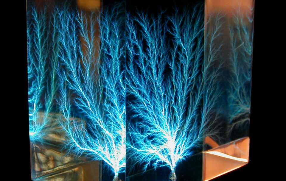 Fraktale trær vokser ikke bare opp fra jorda. Her har en plastblokk av elektrisk isolerende stoff blitt utsatt for høyspenning, helt til strømmen spredte seg ut og laget et fraktalt tremønster i plasten. Lyn har lignende mønstre. Slike mønstre kalles Lichtenberg-figurer. (Foto: Bert Hickman, http://www.teslamania.com)