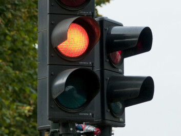High-risk takers drive through yellow lights more often than risk-aversive do. (Foto: Colourbox) High-risk takers drive through yellow lights more often than risk-aversive do. (Foto: Colourbox)