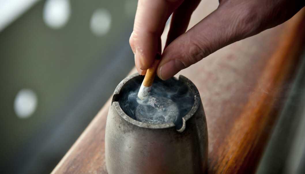 Only a few studies have followed occasional smokers over longer periods.(Photo: Fredrik Varfjell/NTB scanpix) Only a few studies have followed occasional smokers over longer periods.(Photo: Fredrik Varfjell/NTB scanpix)