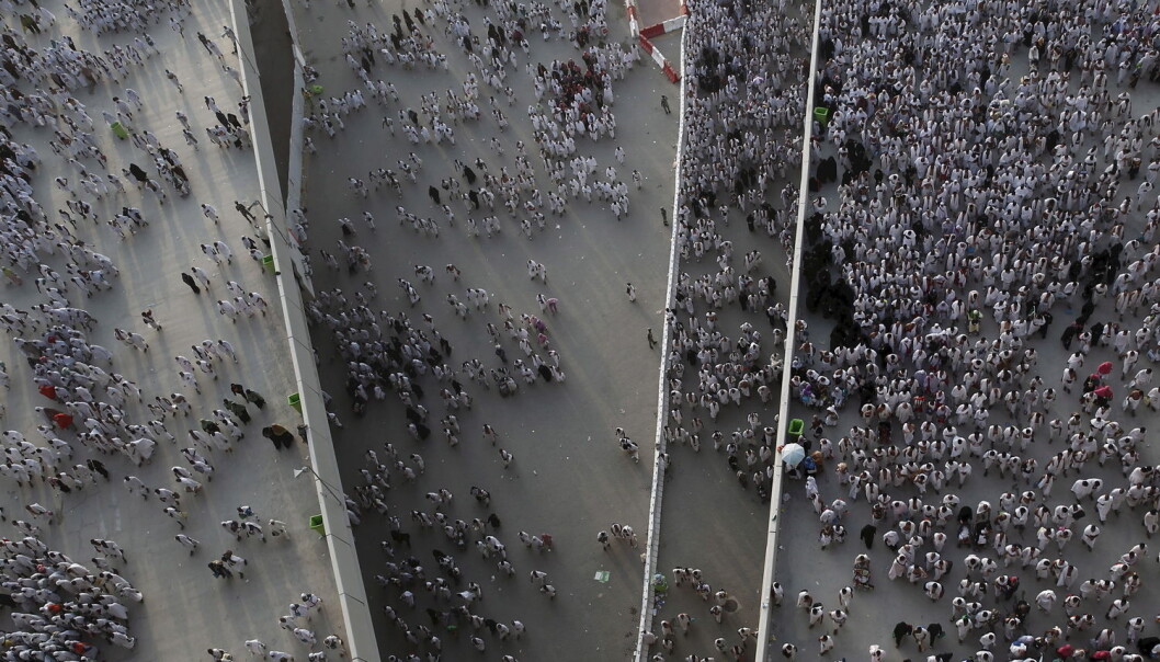 Muslimske pilgrimer i Mina i september i fjor. Selv om saudiarabiske myndigheter har forsøkt å gjøre ritualet «steining av djevelen» tryggere, omkom rekordmange i trengselen. (Foto: Ahmad Masood, Reuters/NTB scanpix) Muslimske pilgrimer i Mina i september i fjor. Selv om saudiarabiske myndigheter har forsøkt å gjøre ritualet «steining av djevelen» tryggere, omkom rekordmange i trengselen. (Foto: Ahmad Masood, Reuters/NTB scanpix)