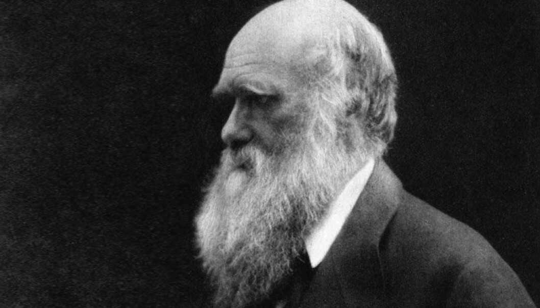 Den kristne kirken ble bekymret over Darwins evolusjonsteorier - var det allikevel ikke Gud som har skapt jorden? (Foto: Julia Margaret Cameron) Den kristne kirken ble bekymret over Darwins evolusjonsteorier - var det allikevel ikke Gud som har skapt jorden? (Foto: Julia Margaret Cameron)