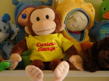 Det er ikke uvanlig at en dokke opptrer i forskning på små barn. I denne studien var det Nysgjerrige Nils, eller Curious George på engelsk. (Foto: Kathleen Tyler Conklin/flickr.com, CC by 2.0.jpg) Det er ikke uvanlig at en dokke opptrer i forskning på små barn. I denne studien var det Nysgjerrige Nils, eller Curious George på engelsk. (Foto: Kathleen Tyler Conklin/flickr.com, CC by 2.0.jpg)
