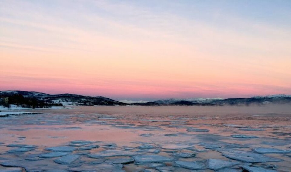 Et foto Kari Leibowitz tok av fjorden og himmelen utenfor Tromsø. Å kunne se skjønnheten i vinterlyset er ikke en opplagt evne. Det er antakelig noe du må lære deg, eller trene deg opp til, omtrent som evnen til å kunne se skjønnhet i kunst. Kanskje er det slik at mange nordmenn har evnen til å se det vakre i et blått vinterlandskap.  (Foto: Kari Leibowitz)