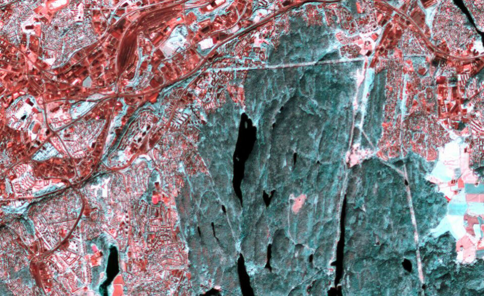 Her er infrarødt og synlig lys gitt farger som framhever bar jord og bygninger. Lutvann i Østmarka er midt i bildet. Den røde flekken til høyre ned for Lutvann er et snauhogd område med bar jord rundt Haukåsen radarstasjon. (Foto: Sentinel-2A, Copernicus, ESA/Andreas Kääb, Universitetet i Oslo)