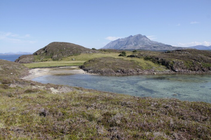 Kystlynghei er en utrydningstruet landskapstype som er en viktig beiteressurs og kulturbærer. (Foto: Thomas Holm Carlsen, Nibio) Kystlynghei er en utrydningstruet landskapstype som er en viktig beiteressurs og kulturbærer. (Foto: Thomas Holm Carlsen, Nibio)